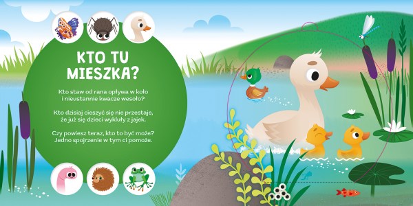 Czy juz wiesz gdzie spi jez srodki elibri 1